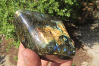 Polished Labradorite Standing Free Forms x 4 From Tulear, Madagascar