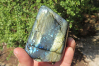 Polished Labradorite Standing Free Forms x 4 From Tulear, Madagascar