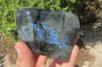 Polished Labradorite Standing Free Forms x 4 From Tulear, Madagascar