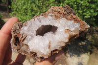 Natural Zululand Amethyst Geodes x 6 from Jozini, South Africa