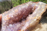 Natural Zululand Amethyst Geodes x 6 from Jozini, South Africa