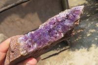 Natural Zululand Amethyst Geodes x 6 from Jozini, South Africa