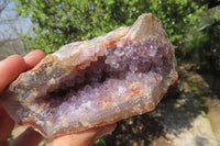 Natural Zululand Amethyst Geodes x 6 from Jozini, South Africa