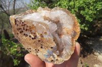 Natural Zululand Amethyst Geodes x 6 from Jozini, South Africa