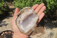 Natural Zululand Amethyst Geodes x 6 from Jozini, South Africa