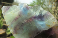 Polished Watermelon Fluorite Slices x 6 From Uis, Namibia