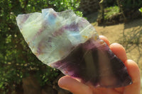 Polished Watermelon Fluorite Slices x 6 From Uis, Namibia