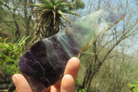 Polished Watermelon Fluorite Slices x 6 From Uis, Namibia