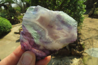 Polished Watermelon Fluorite Slices x 6 From Uis, Namibia