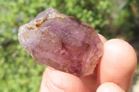 Natural Smokey Window Amethyst Crystals x 20 From Chiredzi, Zimbabwe