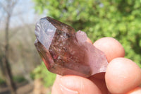 Natural Smokey Window Amethyst Crystals x 20 From Chiredzi, Zimbabwe