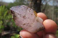 Natural Smokey Window Amethyst Crystals x 20 From Chiredzi, Zimbabwe