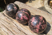 Polished Rhodonite Spheres x 3 From Madagascar