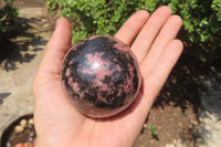 Polished Rhodonite Spheres x 3 From Madagascar