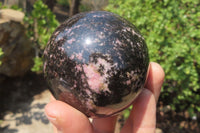 Polished Rhodonite Spheres x 3 From Madagascar