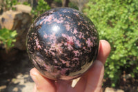 Polished Rhodonite Spheres x 3 From Madagascar