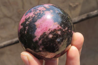 Polished Rhodonite Spheres x 3 From Madagascar