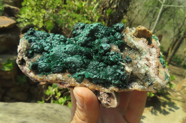 Natural Ball Malachite On Quartz Matrix Specimen x 1 From Kambove, Congo