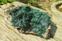 Natural Ball Malachite On Quartz Matrix Specimen x 1 From Kambove, Congo