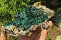 Natural Ball Malachite On Quartz Matrix Specimen x 1 From Kambove, Congo