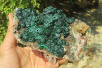 Natural Ball Malachite On Quartz Matrix Specimen x 1 From Kambove, Congo