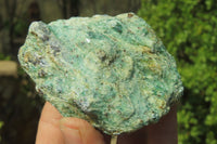 Natural Kyanite In Fuchsite Matrix Specimens x 12 From Zimbabwe