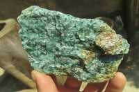 Natural Kyanite In Fuchsite Matrix Specimens x 12 From Zimbabwe