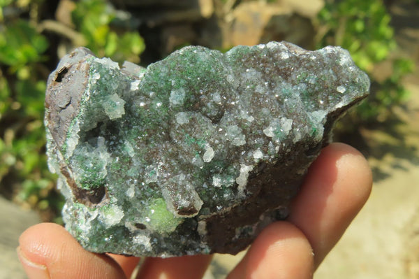 Natural Ball Malachite On Quartz Matrix Specimens x 6 From Congo