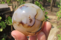 Polished Banded Agate Spheres x 6 From Madagascar