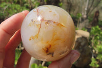 Polished Banded Agate Spheres x 6 From Madagascar