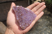 Polished Amethyst Agate Plates x 6 From Mahajanga, Madagascar