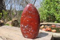 Polished Red Jasper Standing Free Forms x 6 From Madagascar