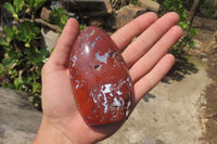 Polished Red Jasper Standing Free Forms x 6 From Madagascar