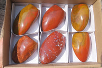 Polished Red Jasper Standing Free Forms x 6 From Madagascar