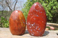 Polished Red Jasper Standing Free Forms x 6 From Madagascar