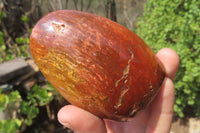 Polished Red Jasper Standing Free Forms x 6 From Madagascar