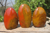 Polished Red Jasper Standing Free Forms x 6 From Madagascar