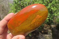 Polished Red Jasper Standing Free Forms x 6 From Madagascar