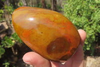 Polished Red Jasper Standing Free Forms x 6 From Madagascar