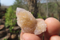 Natural Amethyst Spirit Quartz Crystals x 70 From Boekenhouthoek, South Africa