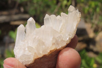 Natural Clear Quartz Crystal Clusters x 35 From Madagascar