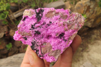 Natural Salrose Cobaltion Dolomite Specimens x 6 From Kakanda, Congo