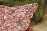 Natural Salrose Cobaltion Dolomite Specimens x 6 From Kakanda, Congo