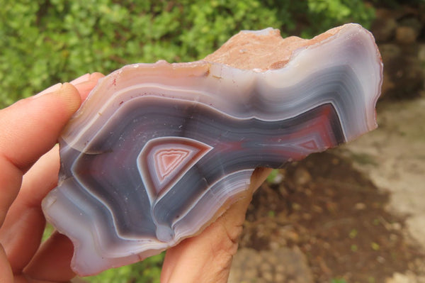 Polished On One Side Red Sashe River Agate Nodules x 6 From Zimbabwe