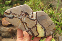 Polished Septerye Plaques x 4 From Mahajanga, Madagascar