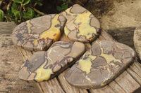 Polished Septerye Plaques x 4 From Mahajanga, Madagascar