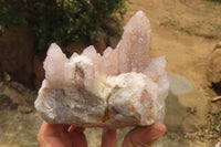 Natural Amethyst Spirit Quartz Cluster x 1 From Boekenhouthoek, South Africa