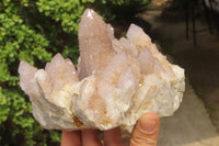 Natural Amethyst Spirit Quartz Cluster x 1 From Boekenhouthoek, South Africa