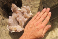 Natural Amethyst Spirit Quartz Cluster x 1 From Boekenhouthoek, South Africa