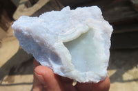 Natural Etched Blue Chalcedony Specimens x 12 From Nsanje, Malawi